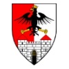 Grad Petrinja